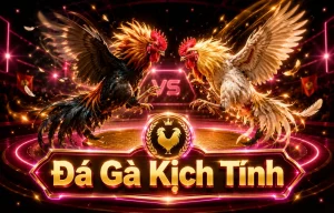 Giao diện Đá Gà cynadykaempken